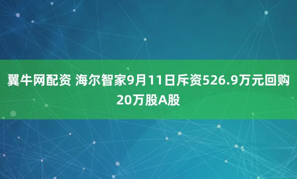 翼牛网配资 海尔智家9月11日斥资526.9万元回购20万股A股