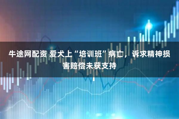 牛途网配资 爱犬上“培训班”病亡，诉求精神损害赔偿未获支持