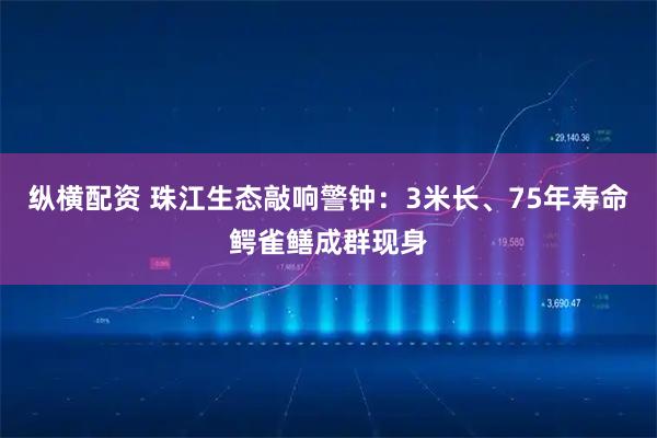 纵横配资 珠江生态敲响警钟：3米长、75年寿命鳄雀鳝成群现身